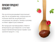 ������ ECOLIFE.png