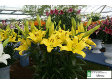 ����� ������ 16/18 ( 1 ��) ��-������-29,15.JPG