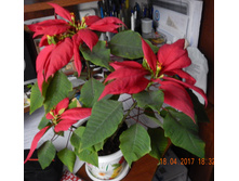 �������������� ������