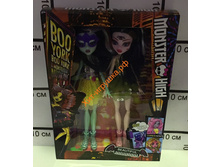 �����������