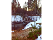 IMG 20170401 182811.jpg