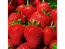 ��������� ���������, 50���..jpg