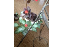 ��������1