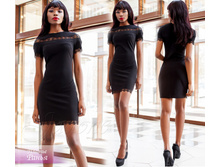 ������ ����� ������ 1095