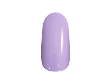 216 ���. - ����-������ ��� ������� "TNL" ?26 (����������), 8 ��.