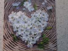 33�33 - 15 ���.