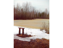 IMG 20170408 125931.jpg