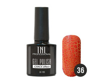 162 ���. - ����-��� "TNL - � �������� �������������� "Crack " ?36 - ����������-������� (10 ��.)