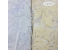 ���� ������� Lamella TN.jpg