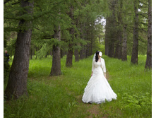 ������ "�����" �� ������ "����� �������"