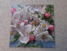 33�33 - 15 ���.