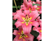 ����� ��������.jpg