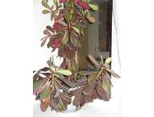 ���������� �����