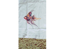 IMG 20170415 100622.jpg