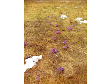 IMG 20170422 133137.jpg