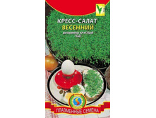 �����-����� ��������