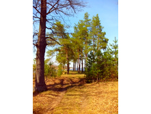 IMG 20170430 123425.jpg