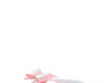27579 PINK.jpg