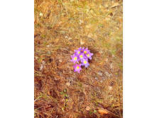 IMG 20170422 124804.jpg