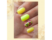 ������� 423-253