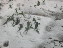 21 ������ 2017����