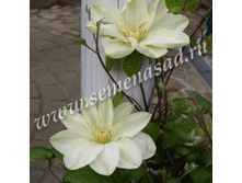 �������� ��������������� ������ ���� � ������.jpg