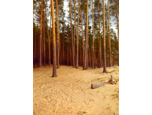 IMG 20170424 152310.jpg