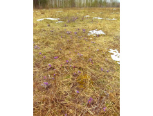 IMG 20170422 133114.jpg