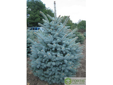 ��� ������� ������ (�9).jpg