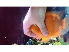 ����� ���� ����� �����!