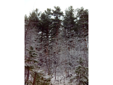 IMG 20170415 110005.jpg