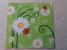 33�33 - 15 ���.