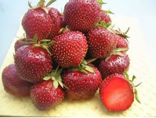 ��������� ��������� �����, 50���..jpg