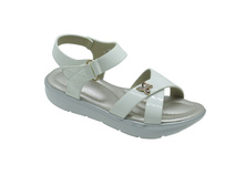 575� B-8951-C 31-36/�����/8