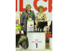 DSC 0245001��.jpg