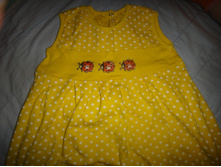 55d79b80a98fb dsc03836.jpg