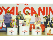 DSC 0291009��.jpg