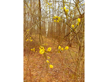 IMG 20170422 150549.jpg