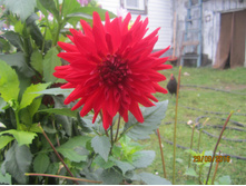 ����������� 001.jpg