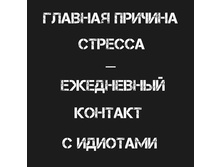 17523104 417104541984222 2616155970794971061 n.jpg