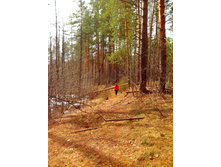 IMG 20170409 121837.jpg