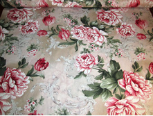 ����� ��� ���� 220 ��