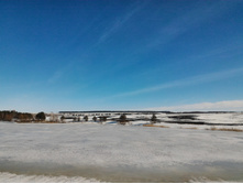 P 20170312 141822.jpg