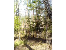 IMG 20170430 132517.jpg