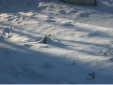 21 ������ 2017����