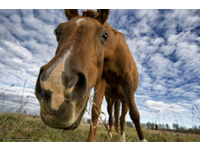 264754 gallery.world.jpg