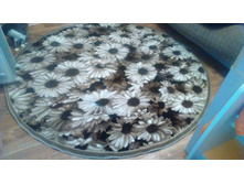 58e2857704beb 3is80o8lfwy.jpg