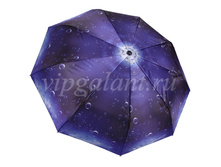 Zont-zhenskiy-505-dolphin-3-sl-s-a-satin-raindrops 2.jpg