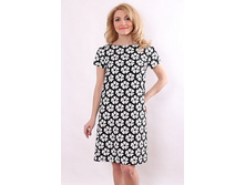 ������3646 �������.JPG