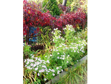 ����� ������� �����������. � ������� � ������.